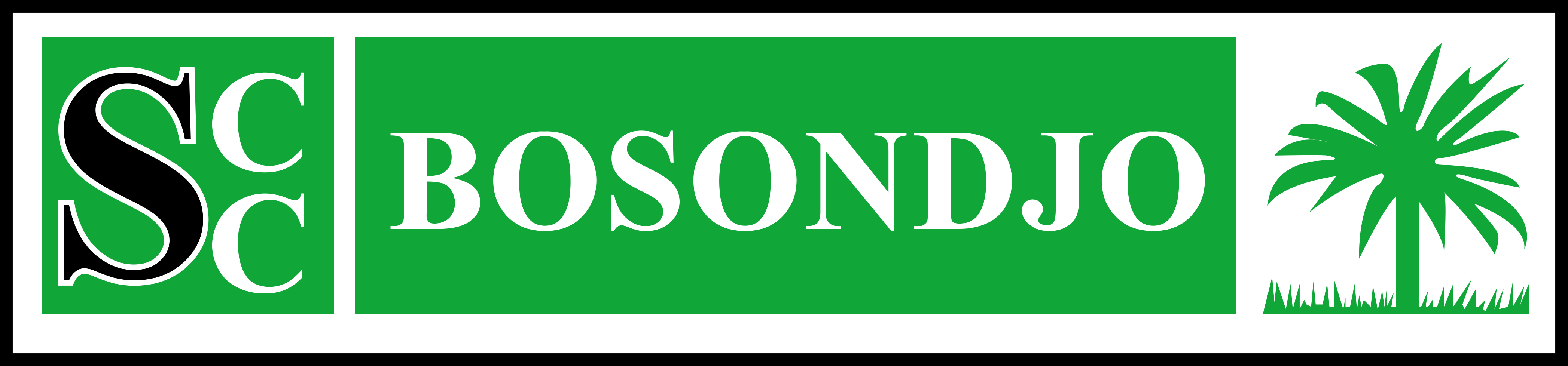 Logo of Busira Lomami Oriental with green palm tree and red banner